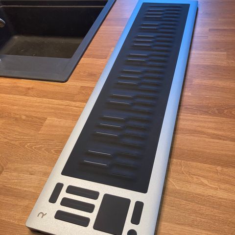 Seaboard roli rise 2