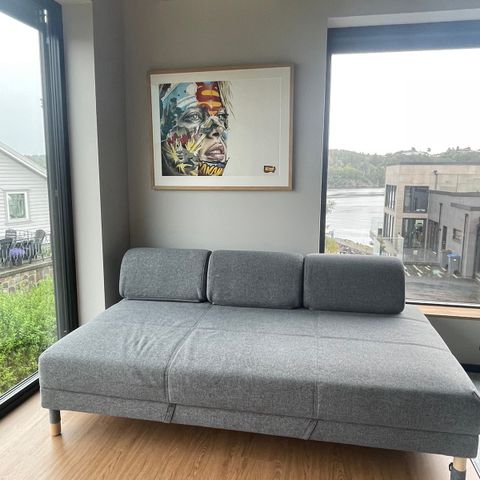 Ikea Flottebo sovesofa