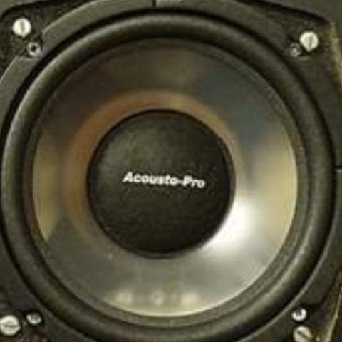 Acousto pro 8" subwoofer