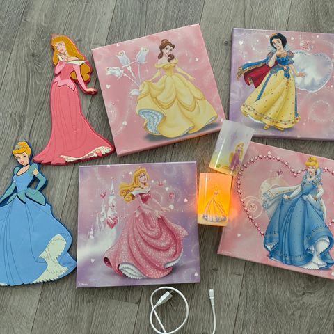 DISNEY PRINSESSER