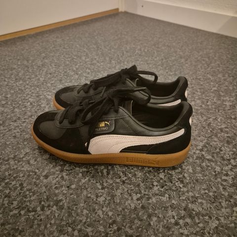 Puma palermo, str 38