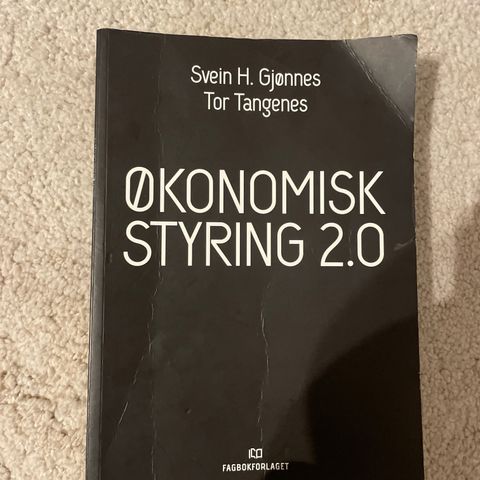 Økonomi styring 2.0