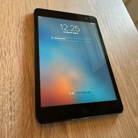 iPad mini 1gen