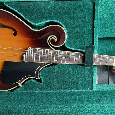 Washburn mandolin