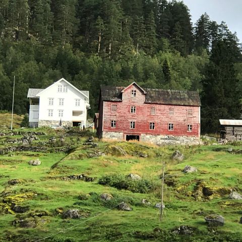 Hjortejakt i Jostedalen