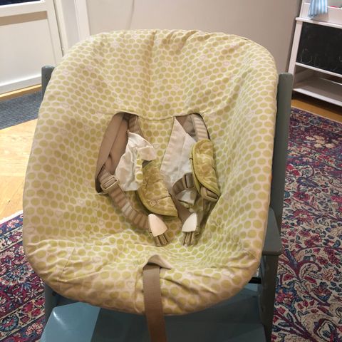 Stokke newborn seat