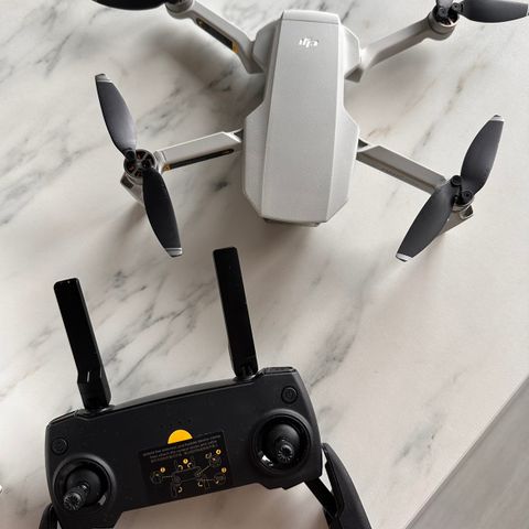 DJI Mavic Mini Drone