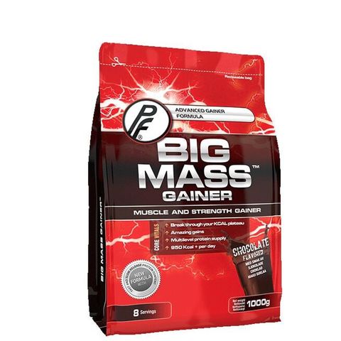 Big Mass Gainer, 1000 g/ NY