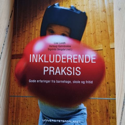 Inkluderende praksis - Skogdal m.fler