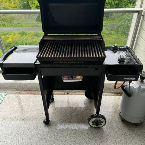 Weber grill