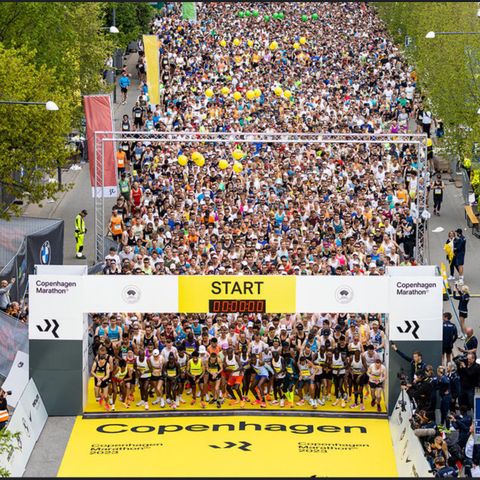 København maraton startnummer ønskes kjøpt