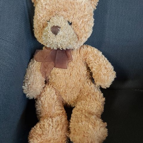 Teddybjørn