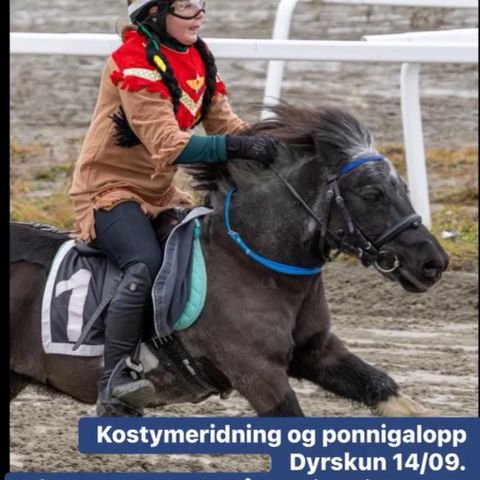 ponnigalopp