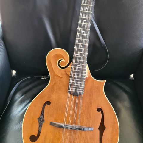 Weber mandolin Bitterroot-modell F14-F