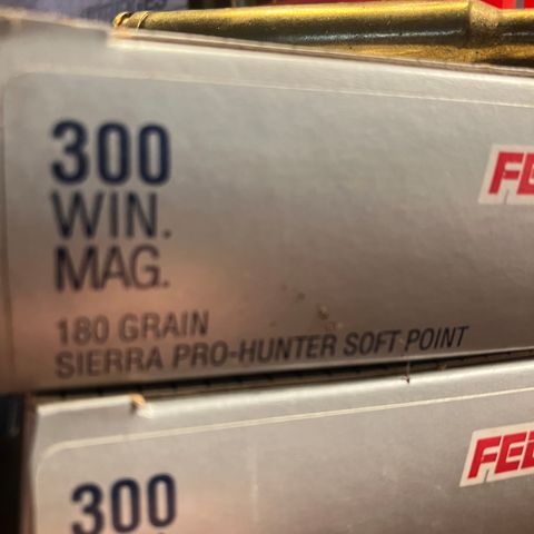 .300 Winchester magnum / 300 WM patroner