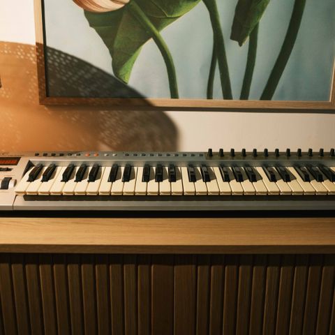 Evolution MK-249C MIDI Keyboard