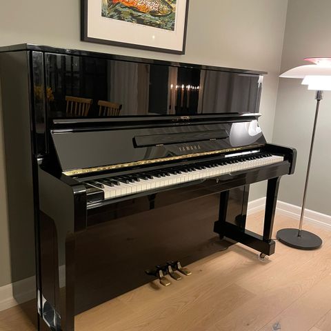 Yamaha U1