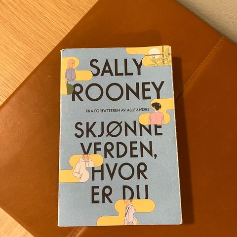 Skjønne verden hvor er du - Sally Rooney