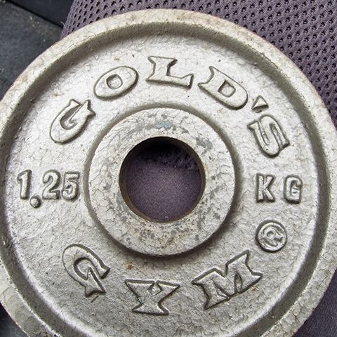 Vektskiver goldgym