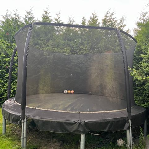 Trampoline