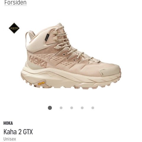 Hoka Kaha 2 GTX