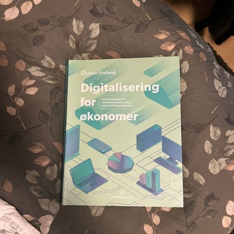 Digitalisering for økonomer