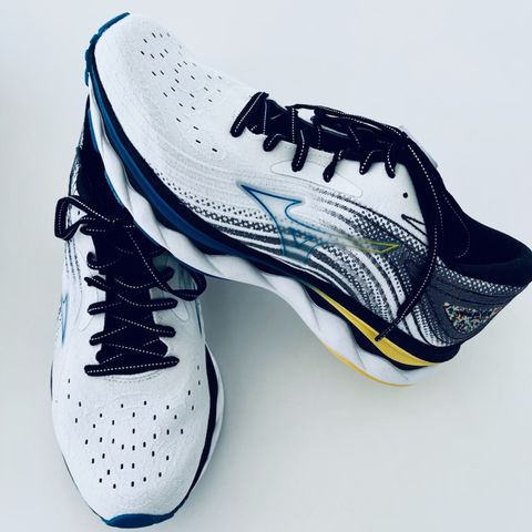 Mizuno wave sky 6 nye