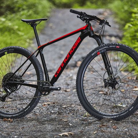 2019/2020 CANNONDALE CARBON 2 HT/29 /STR L