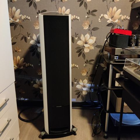 Sonus Faber. Venere 2,5