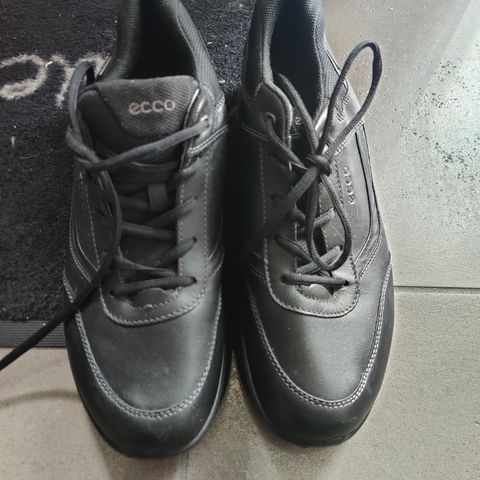 Ecco GTX sko str. 44