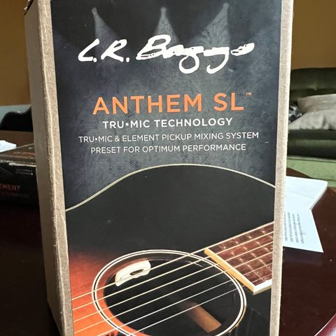 L.R. Baggs Anthem SL