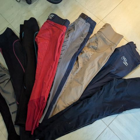 Ridebukser ridetights selges 100kr stk ell 300 for alle