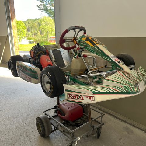 Tony kart LKE60