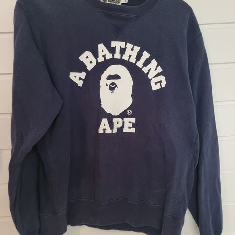 A bathing ape