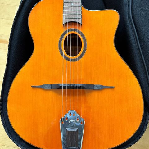 Django gitar Richwood