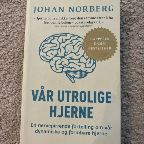 Vår Utrolige Hjerne