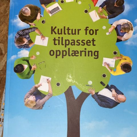 Spesialpedagogikk - Kultur for tilpasset opplæring.