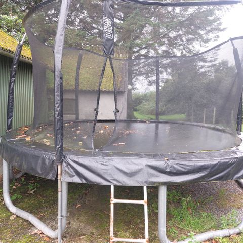 Trampoline stor