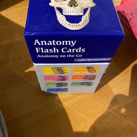 Anatomy Flash cards