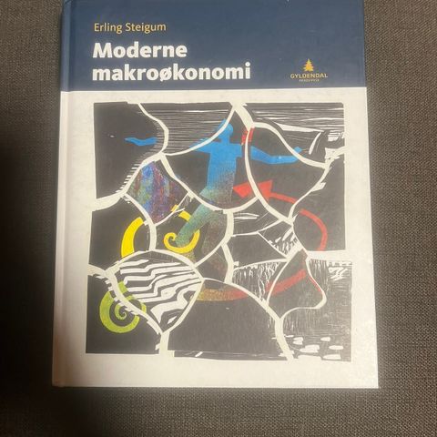 Moderne makroøkonomi, Erling Steigum