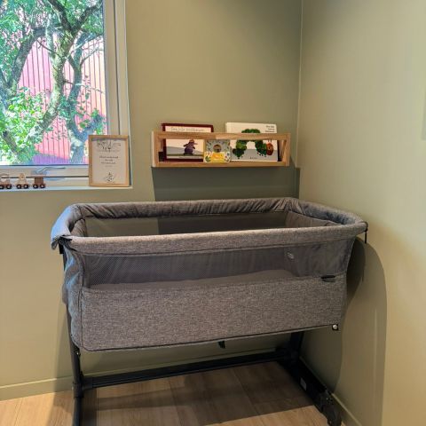 Yngri Tova bedside crib