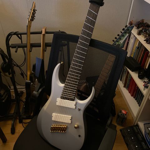 Ibanez 8 streng