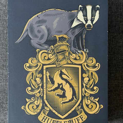 Harry potter Hufflepuff lampe