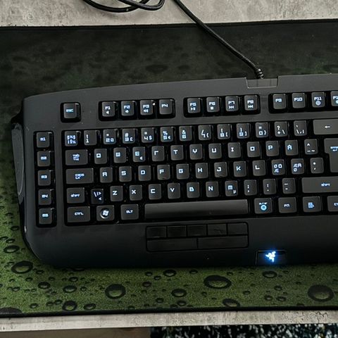 GAMING: Lang Razer Musematte, Razer Anansi & Razer Deathadder