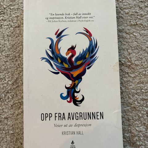 Opp fra avgrunnen - veien ut av depresjon