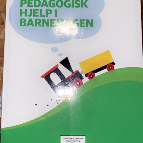 «Spesialpedagogisk hjelp i barnehagen»