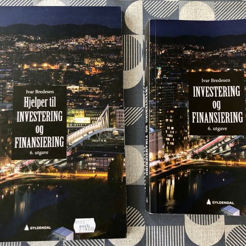 Økonomi: Investering og finansiering, Bredesen