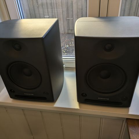 Sonodyne SRP600 - Studio monitors