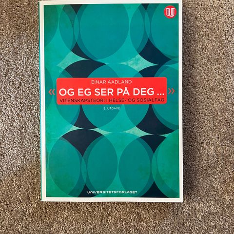 «Og eg ser på deg…» Vitenskapsteori i helse- og sosialfag