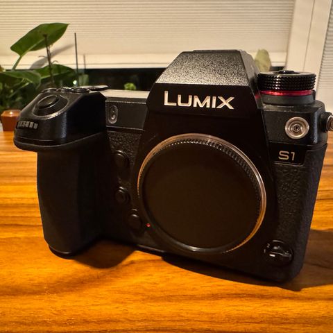 Panasonic Lumix S1